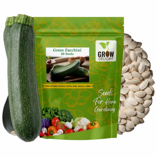 Image of Green Zucchini 20+ Vegetable Seeds for Home Garden