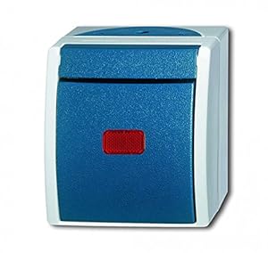 Busch-Jaeger 2601/6 SKW-53 Wippkontrollschalter