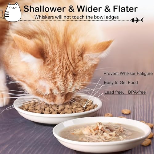 Pavlleen 3 Stück Katzennapf Keramik, mit Rutschfestem Gummiboden,Flacher breiter Futter- und Wassernapf für Kätzchen, Anti Whisker Fatigue Katzengeschirr Set, für Katzen und Kleintiere