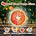 Dried Blood Orange Slices - 100g 3.5oz, No Sugar Added | Orange Wheels | Dehydrated Dried Fruit for Cocktails/Cakes/Crafts/Potpourri/Candle Making (Blood Orange - 3.5oz 100g)