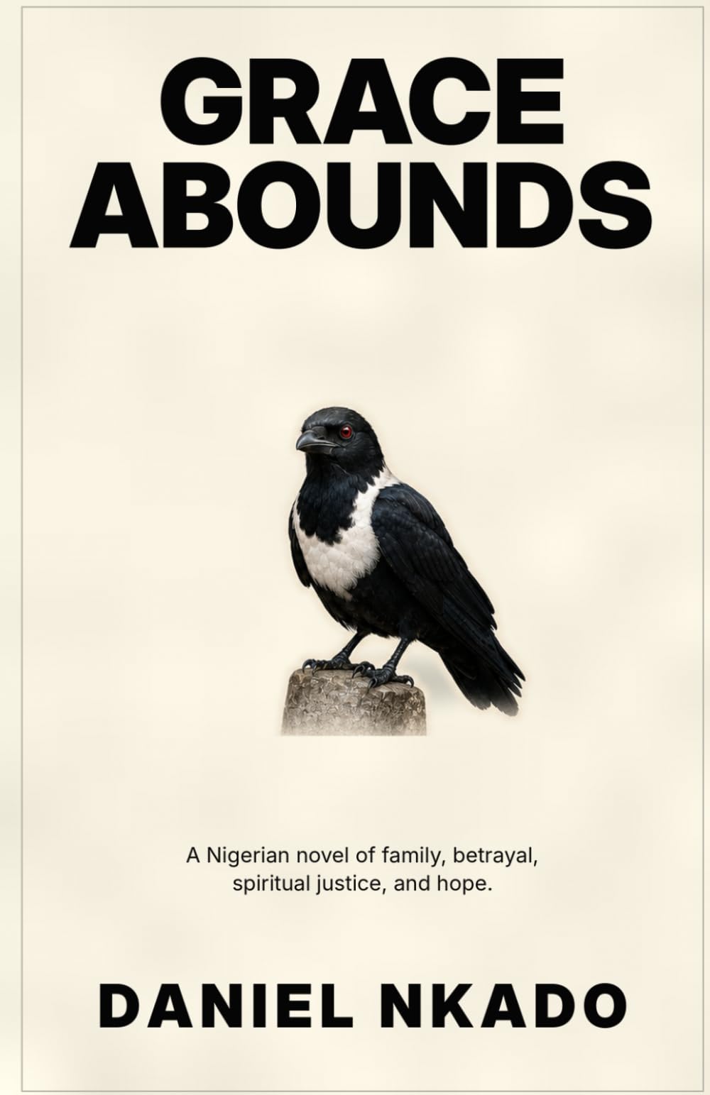 Grace Abounds: A Nigerian novel of family, betrayal, spiritual justice, and hope