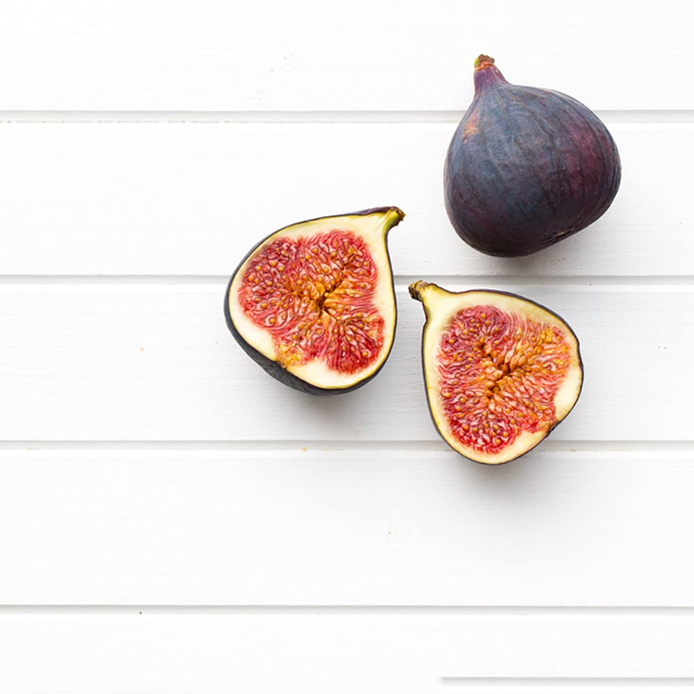 50pcs graines de figue délicieuses graines d'arbustes de Fruits Ficus héritage sucré Pour la Plantation de Jardin d'intérieur à la Maison adaptées aux jardiniers novices Pour cultiver l'intérêt Pour