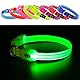 YFbrite Leuchtende Hundehalsbänder, USB-aufladbares LED-Hundehalsband, verstellbares LED-Katzenhalsband, langlebiges Blinkhalsband für Katzen, Welpen, kleine, mittelgroße und große Hunde (Grün, XS)