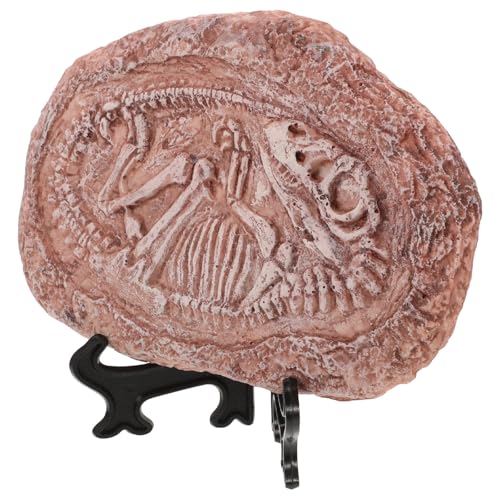 ホビー 化石 三葉虫」の人気商品一覧 | 安い商品を通販サイトから探す