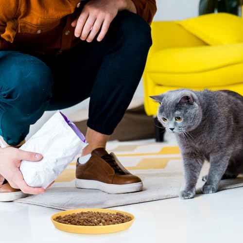 Apricitie 10 Stück Katzennapf Flach Katzen Futternapf 5.9 Zoll Runder Katzenteller Katzenschüssel Bunt Katzenfutter Napfset Für Trockenfutter Und Nassfutter