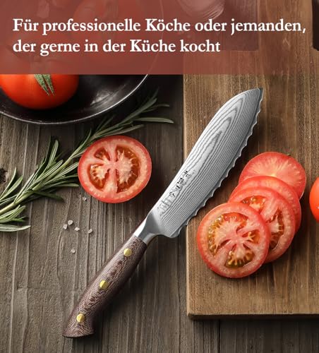 HEZHEN Profi Tomatenmesser Damast, Wellenschliff Hartstahl Auberginenmesser, Scharfe Klinge Brotzeitmesser, Frühstücksmesser Full Tang Micarta Griff