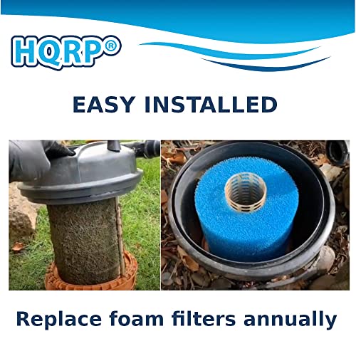 Filtres pour Laguna Pressure-Flo 700 résolvant l'eau trouble