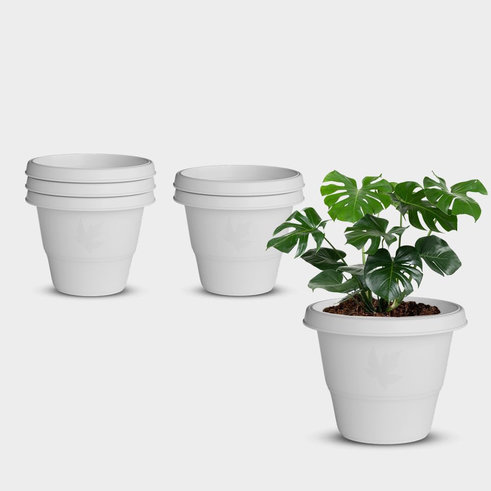 YUCCABE Italia Shera Flower Pots - Set of 3 -24 YUCCABE Italia Shera Flower Pots - Set of 3 -24