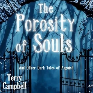 The Porosity of Souls cover art