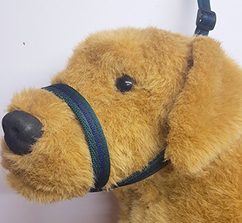 Tufftex Lead Figure Of Eight SOFT Cushion Easy Halter Headcollar Lead, 3 in one lead, (Navy & Forest)