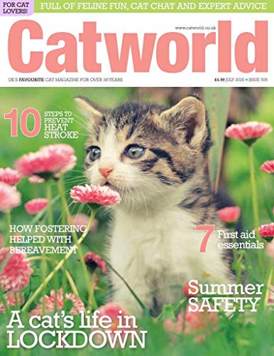 Cat World