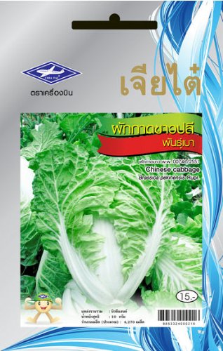 Chinese Cabbage (4270 Seeds) Seeds (Light Weight) - 1 Package From Chai Tai, Thailand