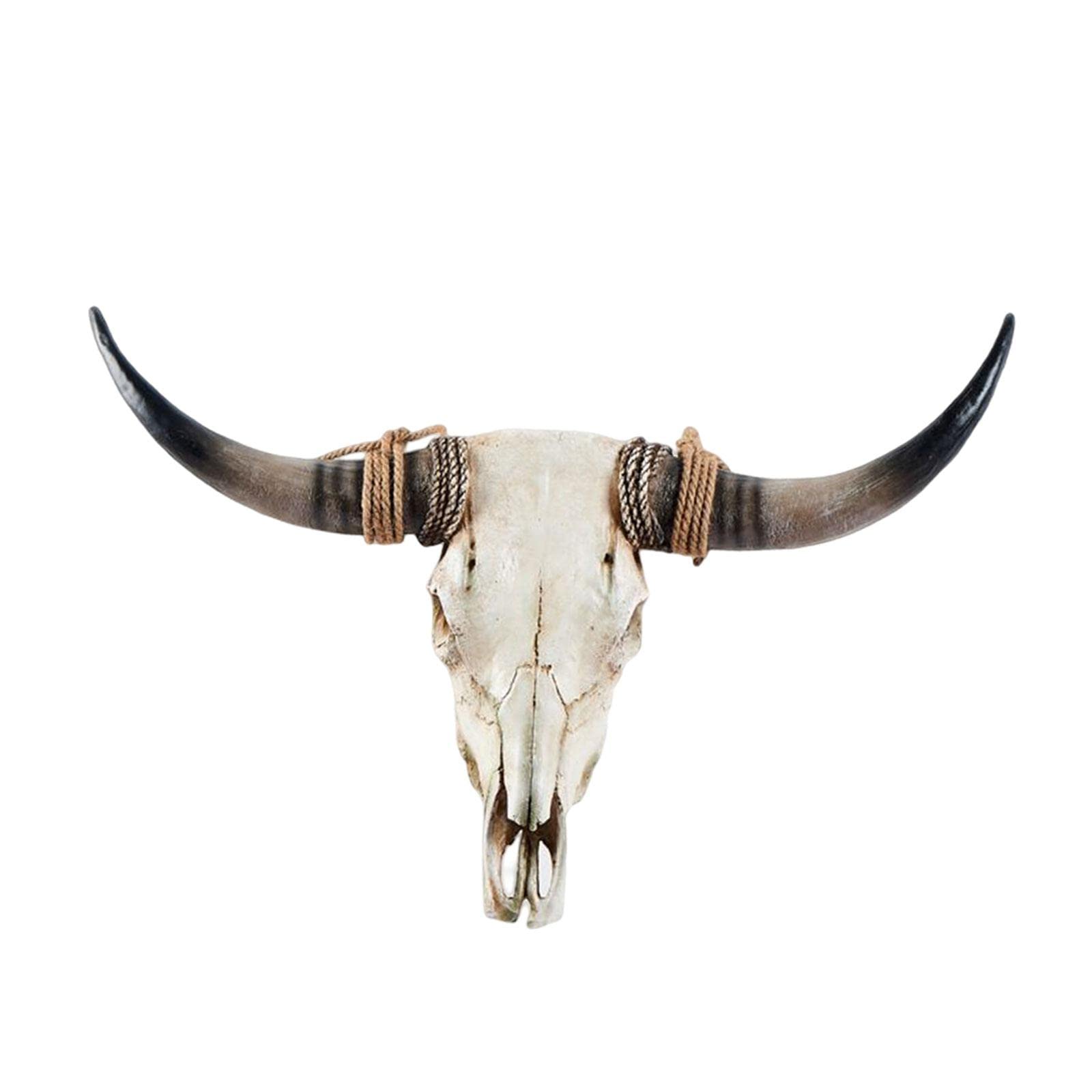 de leon collections バイソン 頭蓋骨 壁飾り Amazon.co.jp: Generic 動物の頭の壁の装飾 牛の樹脂アートワークの
