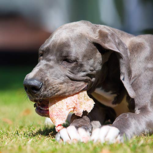 Schecker Hundesnack - Schweineohren mit Muschel - Premium - 1 kg - von Deutschen Schweinen – Ansicht 4