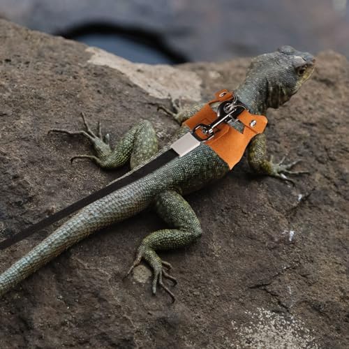 Image of Gosknor Bearded Dragon Harness and Leash Set, 3 Sizes Super Leather Vest with Retractable Rope, Brown
