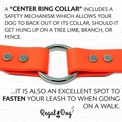 Regal Dog Products Medium Orange Waterproof Dog Collar With Heavy Duty Center Ring, Double Buckle & D Ring | Vinyl Coated, Custom Fit, Adjustable Pet Collars | Other Sizes For Puppy Small & Large Dogs #TOP6