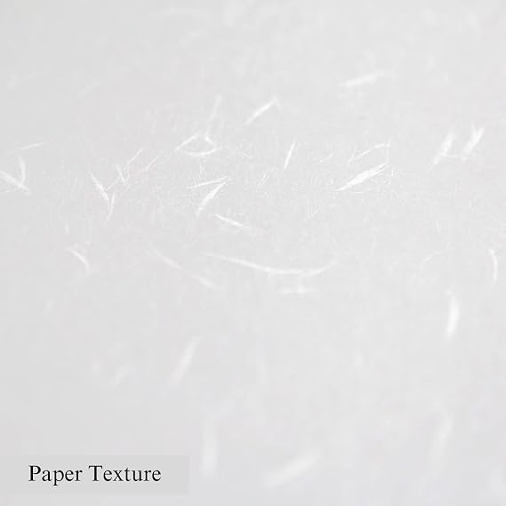 ONAO Washi Paper Printable A4 Printer Paper (100 Sheets), REIJOUSHI Japanese Paper for Printing, Multipurpose Copy Paper for Laser and Inkjet Printers, Made in Japan (47332)