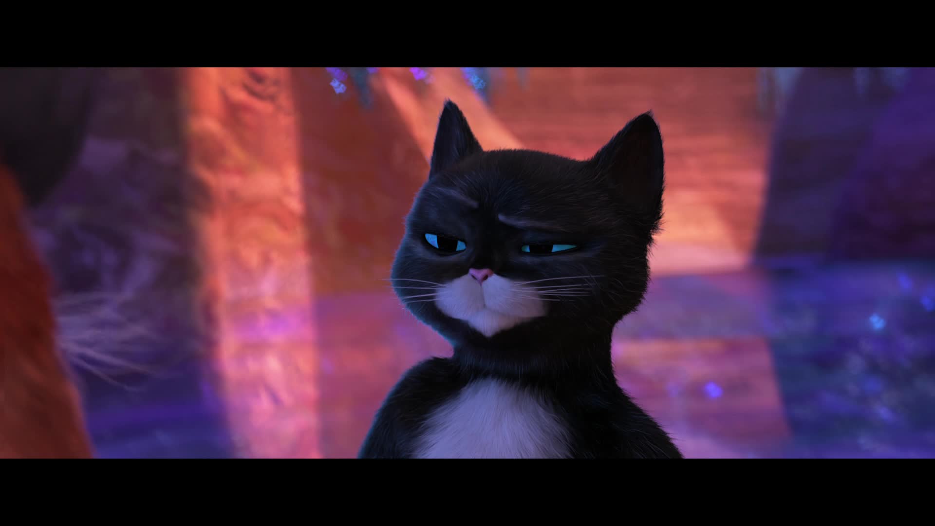 邦楽 CATS IN BOOTS / LAST WORKS Puss in Boots: The Last Wish (2022) - IMDb