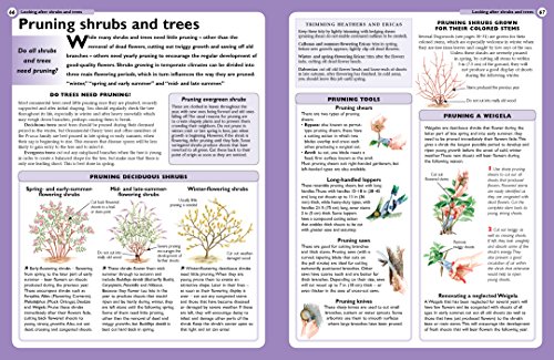 Home Gardener's Trees & Shrubs: Selecting, Planting, Improving And Maintaining Trees And Shrubs In The Garden (Creative Homeowner) (Specialist Guide) #TOP4