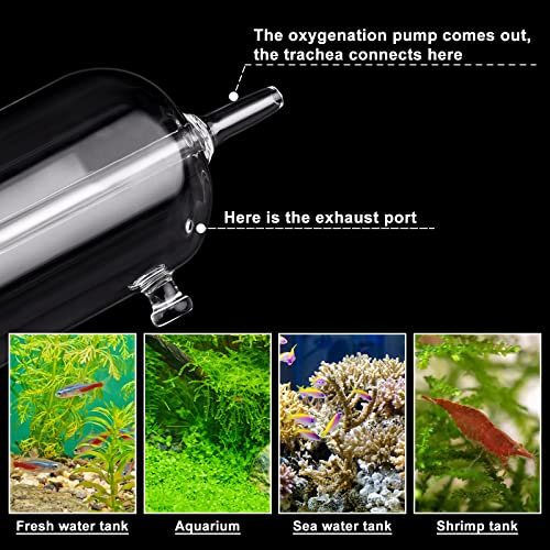 WEAVERBIRD Aquarium Air Bubbler Glass Cup Air Diffuser Dissolved Oxygen Device with Water Tube, Sucker Air Stone, High Dissolved Oxygen for Fish Tank - Thumbnail 5