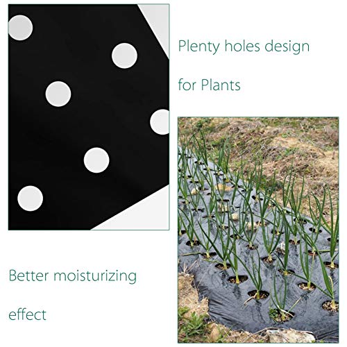 Apipi 2 Pack 33 X 3 Ft Weed Barrier Landscape Fabric With Planting Holes- 1 Mil Garden Weed Blocker Heavy Duty Black Mulch For Landscaping Moisture Temperature Maintaining #TOP3