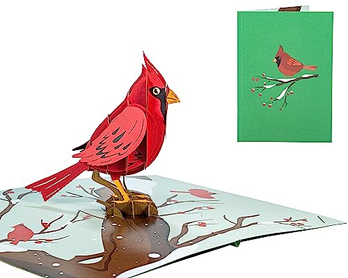 Cardinal Bird - 3D Pop Up Greeting Card For All Occasions - Love, Birthday, Christmas, Goodluck, Congrats, Get Well - Blank Inside for Personalized - Amazing, Happy Gift - Thick Envelope, Fold Flat