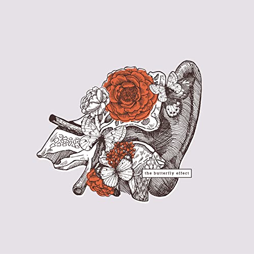 the butterfly effect