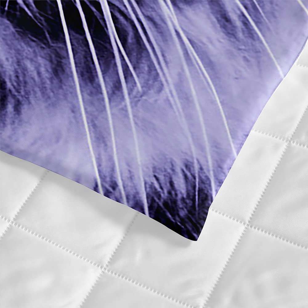 Trapuntino Copriletto Matrimoniale Singolo, Chickw11 3D Animale Stampa Coperta Primaverile Trapunta Estivo Trapuntato Coperta Letto Leggera per Camera da Letto (Tigre,226x280cm
