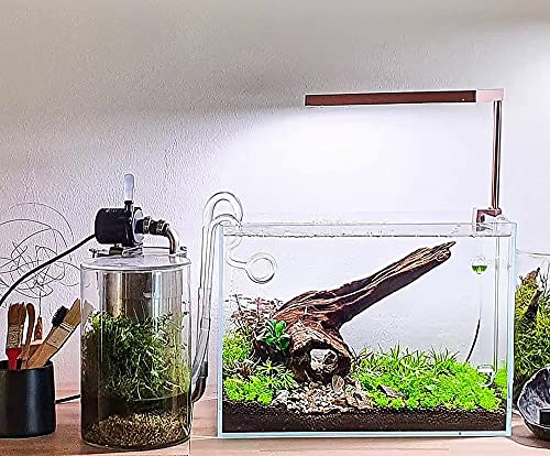 Image of Allcolor Artisan Grade Ultra Clear Rimless Aquarium Tank, Low Iron Glass Fish Tank for Professional Aquascaping and Planted Layouts, 6-60 Gallons (10GaI - Top Glass Canopy)