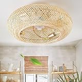 hummingbird 20 Inch Boho Ceiling Fans with Light Flush Mount, Rattan Ceiling Fan with Lights and Remote Control, Enclosed Hand-Woven Rattan Caged for Bedroom Living Room