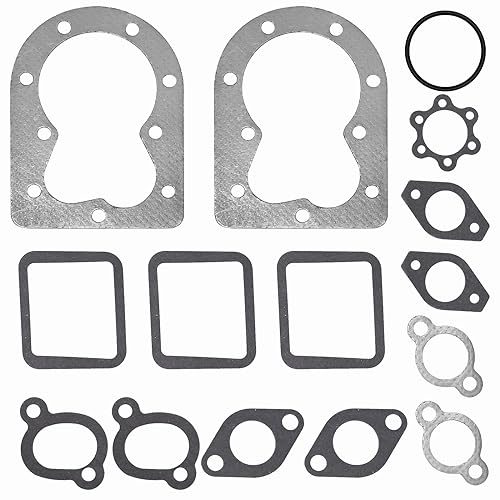 Vkinman Valve Grind Head Gasket Kit 110-3181 Replacement for Onan BF-B43-48 P216 P218 P220 Engine Gasket Kit Valve Grind Head