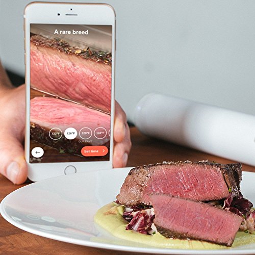 Joule Sous Vide (ChefSteps) Compact 1500W