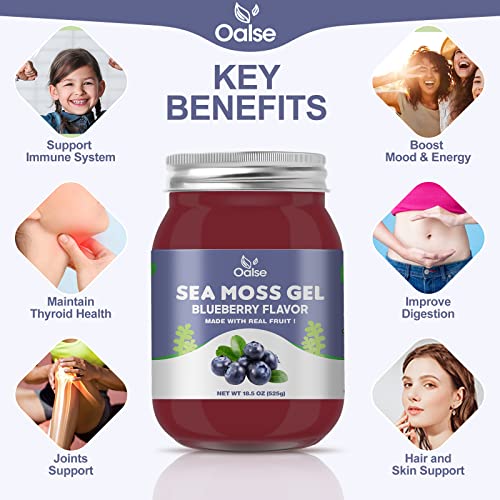 Oalse Sea Moss Gel - 18.5Oz Blueberry Flavor Sea Moss Gel Organic Raw Nutritious Organic Sea Moss Gel In Minerals, Proteins & Vitamins, Vegan-Friendly #TOP2
