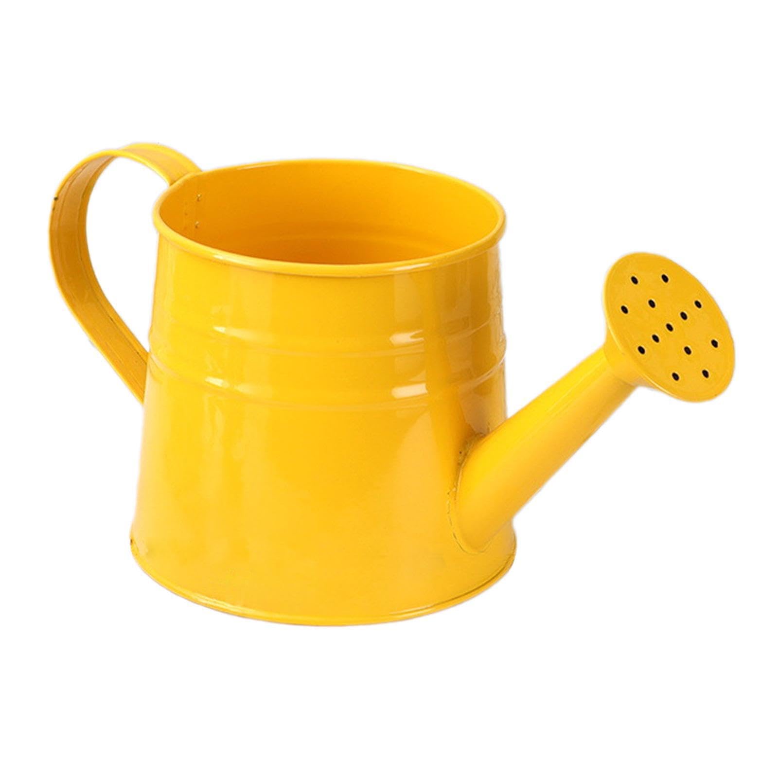 QUILSTM Charming Vintage Watering Can Lightweight Portable Unique Sprinkler Essential For Indoor Lawn Plants Watering Can Is Made Iron Sprinkling Decorative