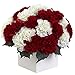 Nearly Natural 1372-RW Carnation Arrangement with Vase, Red/White
