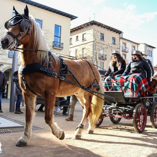 Manlleu al dia - 17/01/24