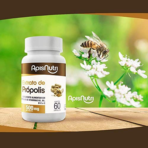 Extrato de Própolis 500mg Apisnutri 60 cápsulas