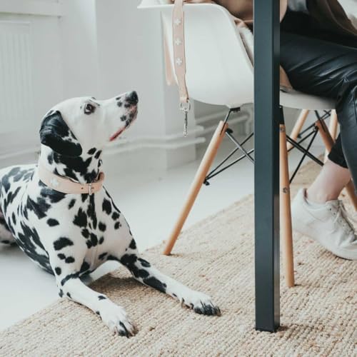 HUNTER Hundehalsband SWISS, Farbe: natur/beige, hochwertiges Rindsleder, handgenäht, schweizer Kreuz, elegantes Design, angenehm weich, komfortabel, langlebig, Made in Germany, Größe: 37