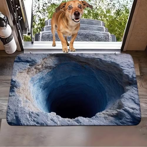 Illusion Rug Looks Like a Hole
