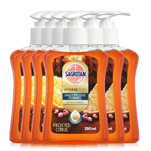 Sagrotan Handseife Winter Limited Edition – Feuchtigkeitsspendend, Duft Frosted Citrus – 6 x 250 ml im praktischen Vorteilspack