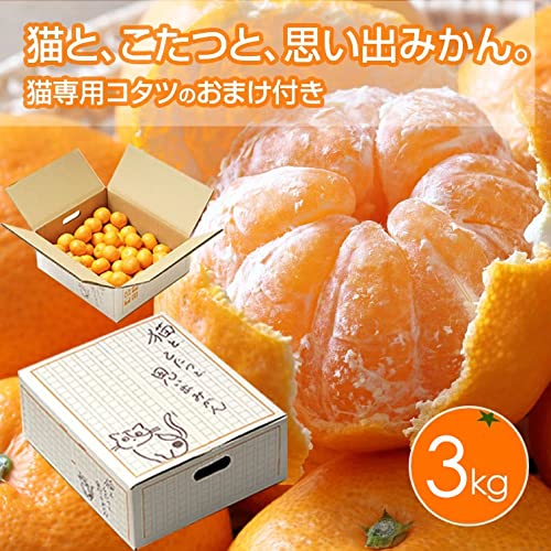 Amazon.co.jp: 予約『 猫と、こたつと、思い出みかん。』猫専用こたつ