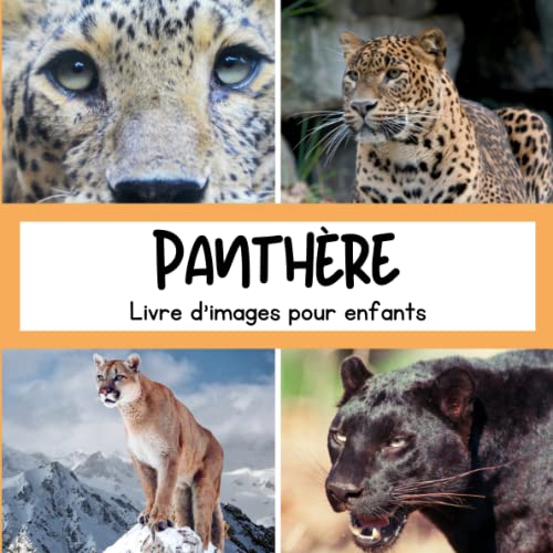 La mejor selección de Panthere Top 10. 24 Livre d'images pour enfants - Panthère: Découvrir les Panthères en image - Enfants de 2 à 5 ans (French Edition)
