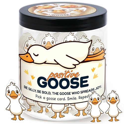 Positive Goose Jar with 60 Affirmation Cards and Decor