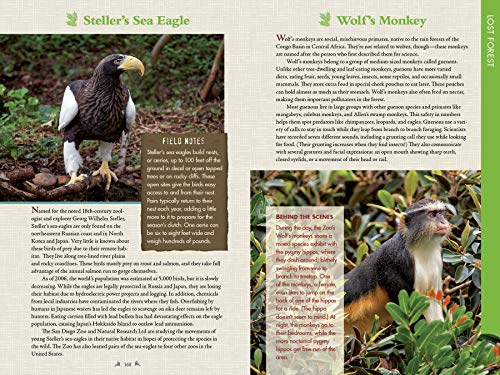San Diego Zoo Official Guidebook - Image 8