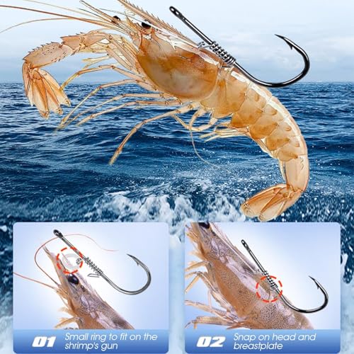 Ganchos de do mar, ganchos de em aço carbono - Kit de ganchos de camarão portátil de - Ferramenta de