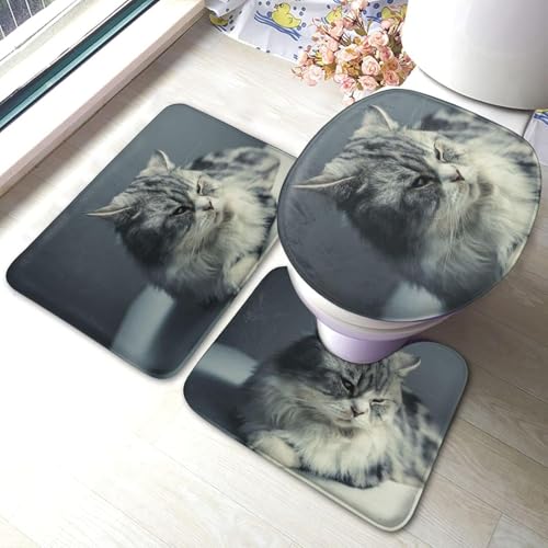 gC}bg Zbg 3_  L  }bg gCWJo[ U^ O^ gC}bg Zbg ~ z  h ֊ӂJo[ ƒp zep