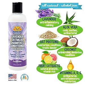 Bodhi dog organic lavender oatmeal dog shampoo and conditioner | hypoallergenic conditioning deodorizing formula for dogs cats  pets | treatment wash soothes dry itchy skin allergy relief 8 fl oz   cucciolini doodles