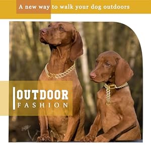 Gold Cuban Link Adjustable Collar Iced out Outdoor Fashion Diamond Crystal with Stainless Steel Accessories Chain Metal Easy Buckle Release Choker for Dogs  Cats 12 Inches 15mm  Cucciolini Doodles Gold cuban link adjustable collar iced out outdoor fashion diamond crystal with stainless steel accessories chain metal easy buckle release choker for dogs  cats 12 inches 15mm   cucciolini doodles