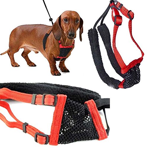 Szkn Cinto de tração respirável anti puxamento para cães Correias para peitoral de animais de estima