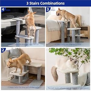 Pet-Stairs-for-Small-Dogs-Pet-Steps-for-High-Beds-and-CouchHigh-Strength-Boards-for-Indoor-Small-Cats-Kittens-Dogs-Climbing-Playing-3-Combination-Options - Cucciolini Doodles   Pet-Stairs-for-Small-Dogs-Pet-Steps-for-High-Beds-and-CouchHigh-Strength-Boards-for-Indoor-Small-Cats-Kittens-Dogs-Climbing-Playing-3-Combination-Options